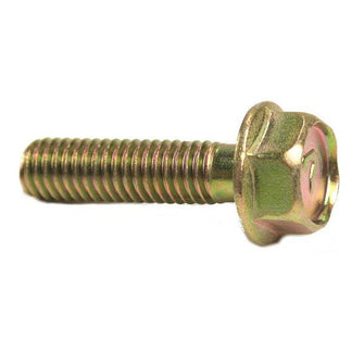 M6 X 30mm Bolt