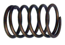 EZGO 295 / 350cc Valve Spring (Years 1996-2002)