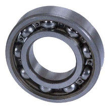 Crankshaft Bearing (Select Models)