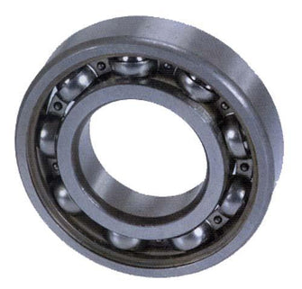 Crankshaft Bearing (Select Models)