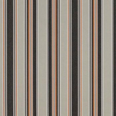 CHAM CP 36" VAL 4758 CAVALIER RAVEN (ALL CC, YA G14-G2