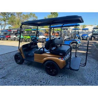 2019 EZGO STORM Lithium 4 passenger Golf cart