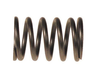 EZGO RXV Valve Spring (Years 2008-Up)