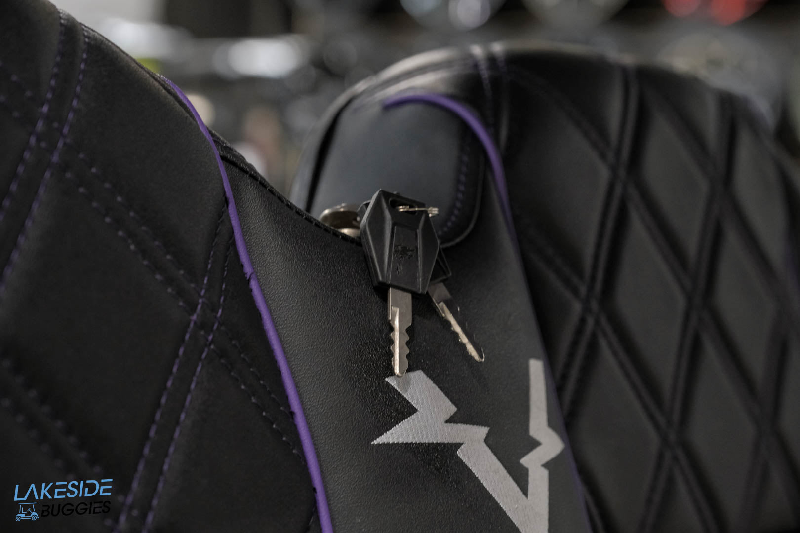 2025 VIBE EV - EV4F  Passion Purple 4 Forward Passenger Street Legal Golf Cart -  Vibe EV at LakesideBuggies.com