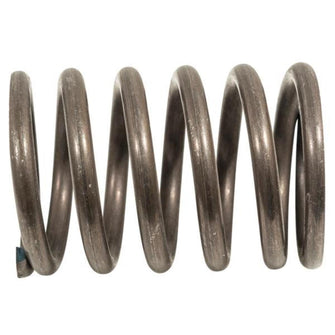 Lakeside Buggies Club Car Precedent Valve Spring - With Subaru EX40 Engine (Years 2015-2019)- 17-188 nivelpart NEED TO SORT