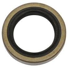 Lakeside Buggies EZGO Marathon Gas 2-Cycle Oil Seal (Years 1976-1979 / 1980-1994)- 3991 EZGO Engine & Engine Parts