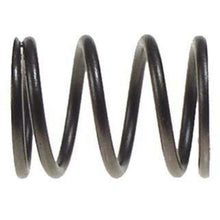 Lakeside Buggies Club Car DS Gas Valve Spring (Years 1984-1991)- 6831 Club Car Engine & Engine Parts