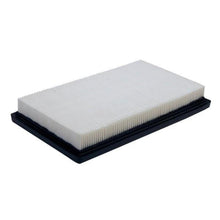 Lakeside Buggies EZGO Marathon Air Filter (Years 1992-1995.5)- 11036 EZGO Filters