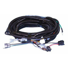 Lakeside Buggies ELECTRIC WIRE HARNESS EZGO MED/TXT- 5599 Lakeside Buggies Direct Wiring harnesses