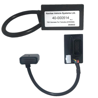 Lakeside Buggies Yamaha Vehicle Module for Navitas Controllers (Models G19-G22)- 31927 Yamaha Speed Controllers